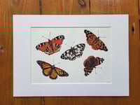 Image 1 of Butterflies (A5 Mounted Print)