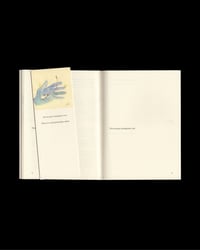 Image 4 of Sull'inforestarsi. Storia di Ultima che diventa bosco