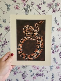 Image 2 of Monty Python (A5 Mounted Print)