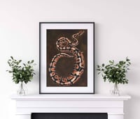 Image 3 of Monty Python (A5 Mounted Print)