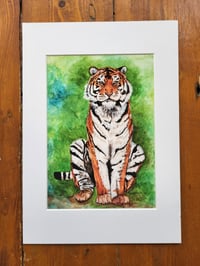 Image 1 of Tiger (A5 Mounted print)