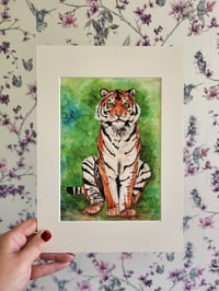 Image 3 of Tiger (A5 Mounted print)