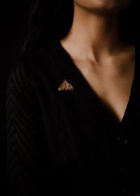 Image 2 of Pin's Papillon de nuit 