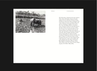 Image 2 of Robida 5 – Topolò/Topolove