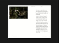 Image 5 of Robida 5 – Topolò/Topolove