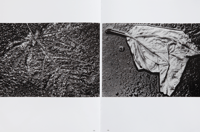 Image 7 of Des lignes et des corps - Yasuhiro Ishimoto