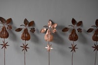 Image 4 of Starry pear with blossom