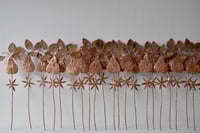 Image 3 of Starry pear with blossom