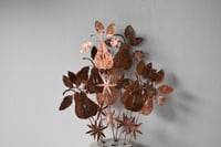 Image 5 of Starry pear with blossom