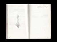 Image 4 of Naselili smo se v tkanine / Ci siamo insediati nei tessuti