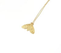 Image 3 of Collier Papillon de nuit