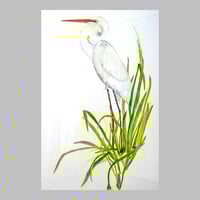 Image 1 of Great white heron original watercolor bird art