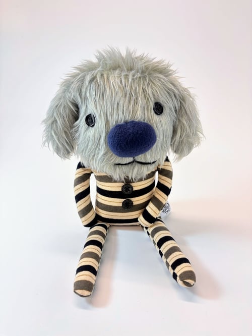 Image of Jamie the dog