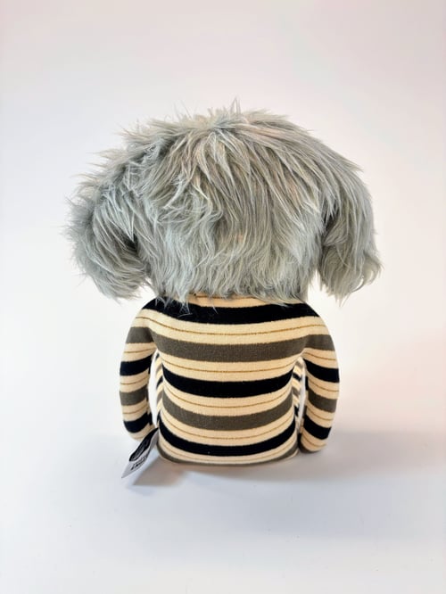 Image of Jamie the dog