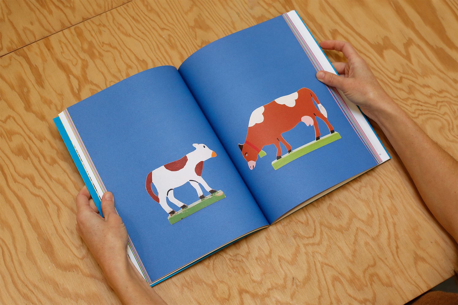 Image of L'Alpin chez lui