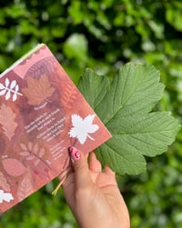 Image 4 of 'Drawing from Nature' Booklet
