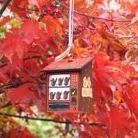 Image 5 of vending machine ornament (red robins)