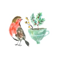 Image 1 of 5x Robin Christmas Cards