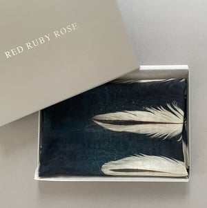 Image of Oystercatcher feathers, printed silk chiffon scarf