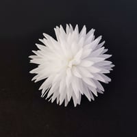 Image 4 of Hair piece Imaginary Plants