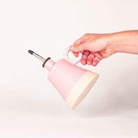 Image 3 of Petit Huilier Rose