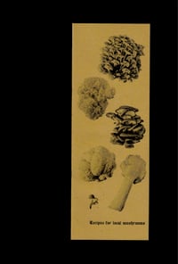 Image 1 of Recipes for Local mushrooms