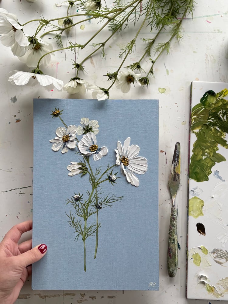 Image of Cosmos On Blue