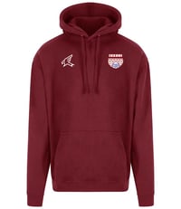 Burgundy Pro Training Hoody