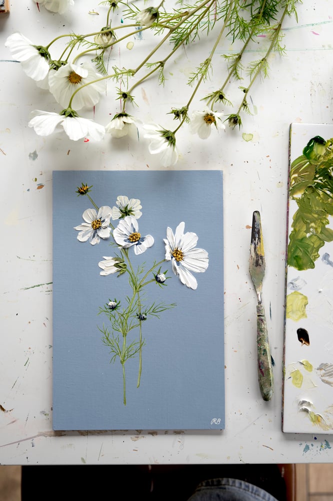 Image of Cosmos On Blue