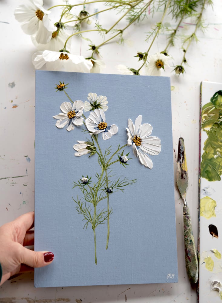 Image of Cosmos On Blue