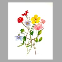 Image 1 of Original floral watercolor painting
