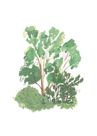 Image 3 of 'Trees in My Garden' Print