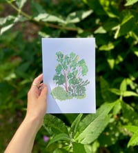 Image 2 of 'Trees in My Garden' Print