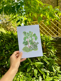 Image 1 of 'Trees in My Garden' Print