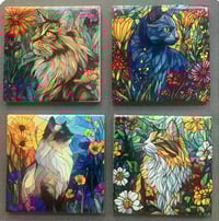 Image of Feline Friends Coasters