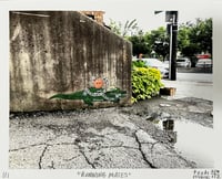 Image 1 of Running Mates print