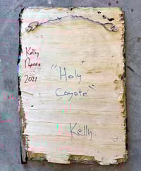 Image 3 of Holy Coyote