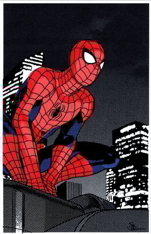 Image of SPIDER-MAN