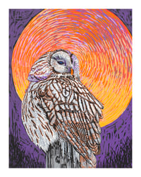 Image 1 of Twilight Guardian