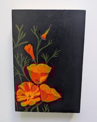 California Poppy I