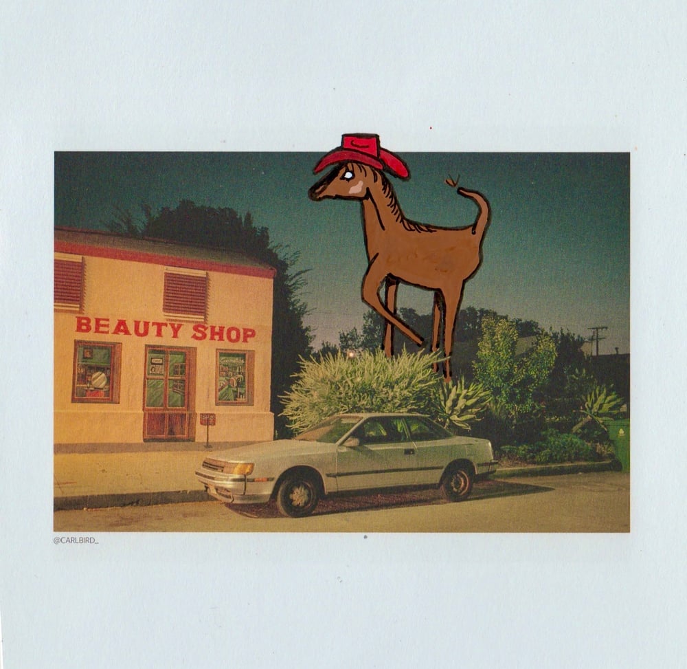 Image of Super Tall Horse Print