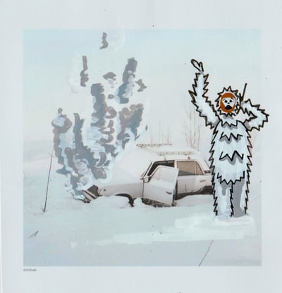 Image of Yeti Calls AAA