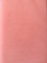 Tulle Peach