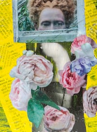 Image 2 of I've gone and stuck my head in a window again