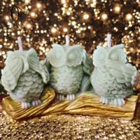 Image 1 of HEAR•SEE•SPEAK NO EVIL Owls 