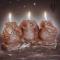 Image 2 of HEAR•SEE•SPEAK NO EVIL Owls 