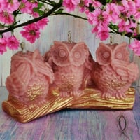Image 3 of HEAR•SEE•SPEAK NO EVIL Owls 