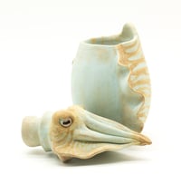 Image 7 of Cuttlefish Bottle