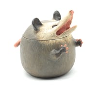 Image 4 of Possum Jar