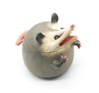 Image 1 of Possum Jar
